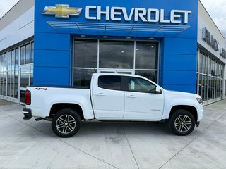 2019 Chevrolet Colorado 4WD Work Truck in Grand Falls, New Brunswick - 4 - w320h240px
