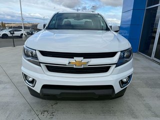 2019 Chevrolet Colorado 4WD Work Truck in Grand Falls, New Brunswick - 3 - w320h240px