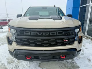 2022 Chevrolet Silverado 1500 Custom Trail Boss in Grand Falls, New Brunswick - 3 - w320h240px