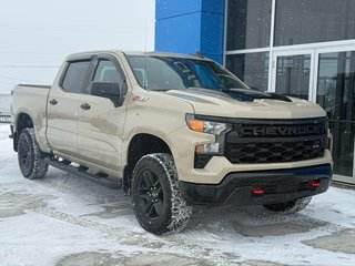 2022 Chevrolet Silverado 1500 Custom Trail Boss in Grand Falls, New Brunswick - 2 - w320h240px