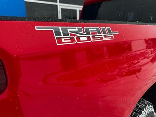 2025 Chevrolet Silverado 1500 CUSTOM TRAIL BOSS in Grand Falls, New Brunswick - 6 - w320h240px