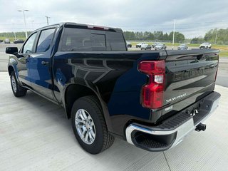 2025 Chevrolet Silverado 1500 LT in Grand Falls, New Brunswick - 5 - w320h240px