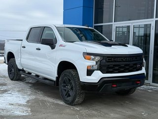Chevrolet Silverado 1500 Custom Trail Boss 2026 à Grand Falls, Nouveau-Brunswick - 2 - w320h240px