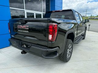2026 GMC Sierra 1500 PRO in Grand Falls, New Brunswick - 5 - w320h240px