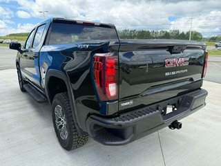 2026 GMC Sierra 1500 PRO in Grand Falls, New Brunswick - 6 - w320h240px