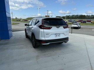 2022 Honda CR-V Sport in Grand Falls, New Brunswick - 5 - w320h240px