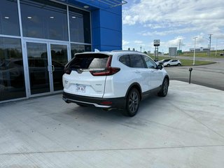 2022 Honda CR-V Sport in Grand Falls, New Brunswick - 6 - w320h240px