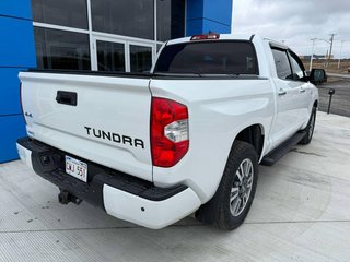 2021 Toyota Tundra Platinum in Grand Falls, New Brunswick - 5 - w320h240px