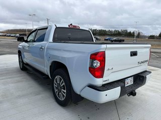 2021 Toyota Tundra Platinum in Grand Falls, New Brunswick - 4 - w320h240px