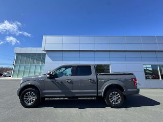 Ford F-150 XLT 2020 à Tracadie-Sheila, Nouveau-Brunswick - 3 - w320h240px