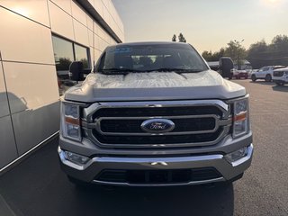 2023 Ford F-150 XLT in Tracadie-Sheila, New Brunswick - 4 - w320h240px