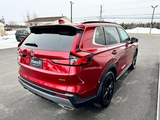 2023 Honda CR-V HYBRID Touring in Tracadie-Sheila, New Brunswick - 4 - w320h240px