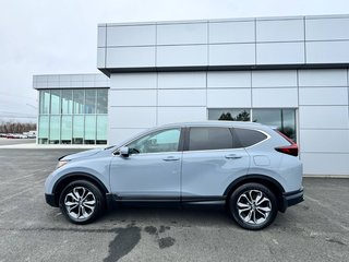 Honda CR-V EX-L 2022 à Tracadie-Sheila, Nouveau-Brunswick - 3 - w320h240px