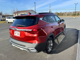 Kia Seltos EX 2021 à Tracadie-Sheila, Nouveau-Brunswick - 5 - w320h240px