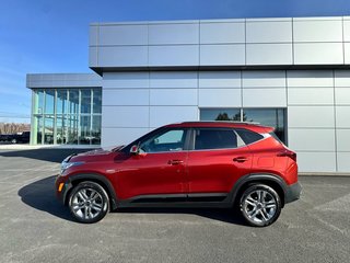 Kia Seltos EX 2021 à Tracadie-Sheila, Nouveau-Brunswick - 2 - w320h240px