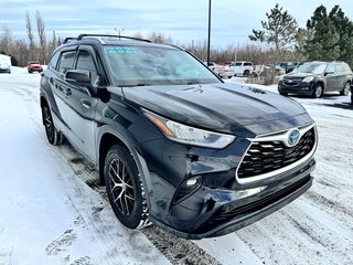 Toyota Highlander Hybrid XLE 2021 à Tracadie-Sheila, Nouveau-Brunswick - 6 - w320h240px