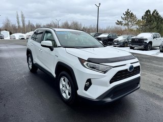 Toyota RAV4  2021 à Tracadie-Sheila, Nouveau-Brunswick - 5 - w320h240px