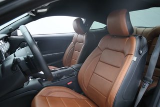 2017 Ford Mustang in Sept-Îles, Quebec - 6 - w320h240px