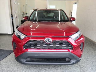 Toyota RAV4 *************XLE AWD, TOIT, MAGS, 2023 à Magog, Québec - 6 - w320h240px