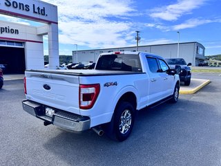 Ford F-150 LIMITED 2021 à Grand-Sault, Nouveau-Brunswick - 4 - w320h240px