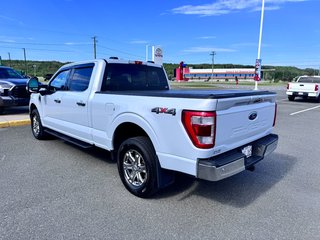 Ford F-150 LIMITED 2021 à Grand-Sault, Nouveau-Brunswick - 6 - w320h240px