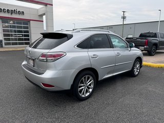 2015  RX 350 Base in Grand Falls, New Brunswick - 4 - w320h240px