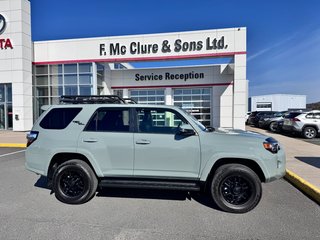 2022 Toyota 4Runner TRD OFF ROAD in Grand Falls, New Brunswick - 2 - w320h240px