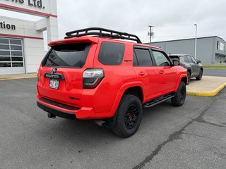 2023 Toyota 4Runner TRD Pro in Grand Falls, New Brunswick - 3 - w320h240px