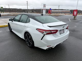 2019 Toyota Camry XSE in Grand Falls, New Brunswick - 5 - w320h240px