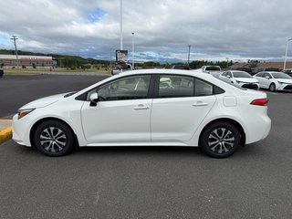 2026 Toyota Corolla Hybrid LE in Grand Falls, New Brunswick - 6 - w320h240px