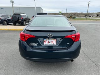 2019  Corolla SE in Grand Falls, New Brunswick - 5 - w320h240px