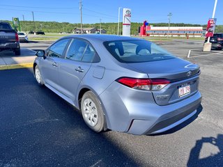 Toyota Corolla LE 2021 à Grand-Sault, Nouveau-Brunswick - 5 - w320h240px
