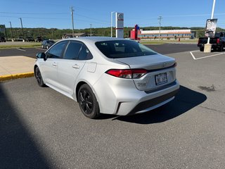 2021 Toyota Corolla LE in Grand Falls, New Brunswick - 5 - w320h240px