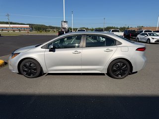 2021 Toyota Corolla LE in Grand Falls, New Brunswick - 6 - w320h240px