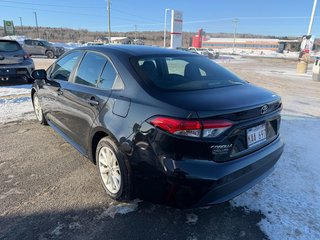 2022 Toyota Corolla LE in Grand Falls, New Brunswick - 6 - w320h240px