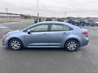 2024 Toyota Corolla Hybrid LE in Grand Falls, New Brunswick - 5 - w320h240px