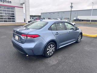 2024 Toyota Corolla Hybrid LE in Grand Falls, New Brunswick - 2 - w320h240px