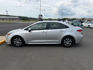 2025 Toyota Corolla LE AWD Hybrid in Grand Falls, New Brunswick - 6 - w320h240px