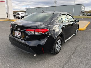2026 Toyota Corolla LE AWD Hybrid in Grand Falls, New Brunswick - 3 - w320h240px