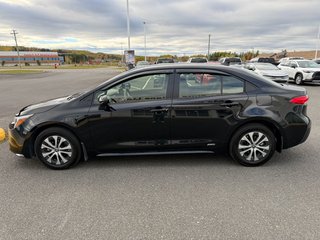2026 Toyota Corolla LE AWD Hybrid in Grand Falls, New Brunswick - 6 - w320h240px
