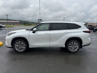 2026 Toyota Highlander Hybrid PLATINUM in Grand Falls, New Brunswick - 6 - w320h240px