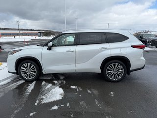2023 Toyota Highlander Platinum in Grand Falls, New Brunswick - 6 - w320h240px