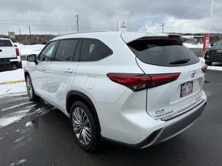 2023 Toyota Highlander Platinum in Grand Falls, New Brunswick - 5 - w320h240px