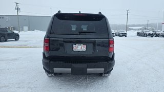 2025 Toyota Land Cruiser Premium package in Grand Falls, New Brunswick - 5 - w320h240px