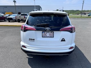 Toyota RAV4 XLE 2018 à Grand-Sault, Nouveau-Brunswick - 4 - w320h240px