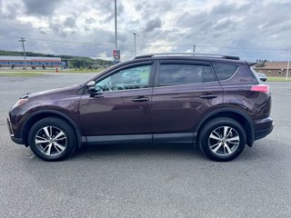 2018 Toyota RAV4 XLE in Grand Falls, New Brunswick - 6 - w320h240px