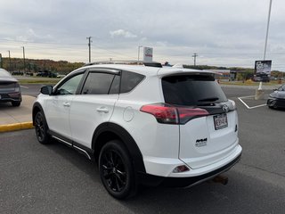 2018 Toyota RAV4 TRAIL in Grand Falls, New Brunswick - 5 - w320h240px