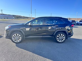 2019 Toyota RAV4 XLE PREMIUM in Grand Falls, New Brunswick - 6 - w320h240px