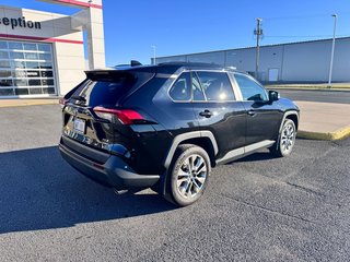 2019 Toyota RAV4 XLE PREMIUM in Grand Falls, New Brunswick - 3 - w320h240px