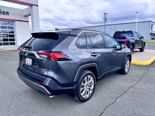 2021  RAV4 LIMITED in Grand Falls, New Brunswick - 4 - w320h240px